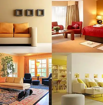 Decoración - Puro Oro y Festival Cromatico